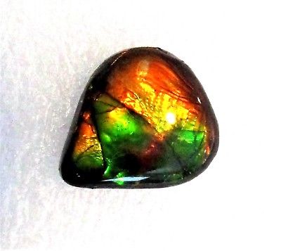 AMMOLITE GEMSTONE 14mm x 13mm