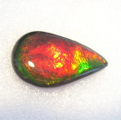AMMOLITE GEMSTONE 30mm x 18mm