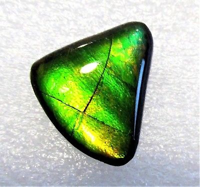 AMMOLITE GEMSTONE 20mm x 15mm