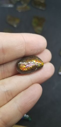 ULTRA RARE PINK AMMOLITE CABOCHON