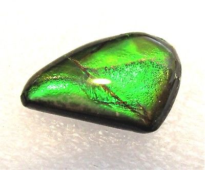 AMMOLITE GEMSTONE 17mm x 11mm