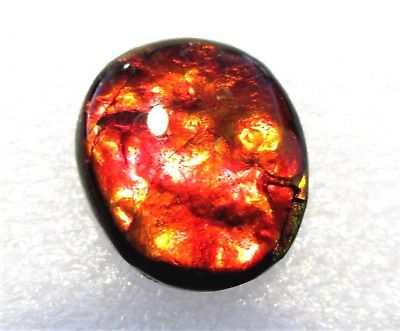 AMMOLITE GEMSTONE 18mm x 16mm