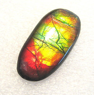 AMMOLITE GEMSTONE 26mm x 13mm