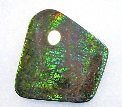 LARGE AMMOLITE GEMSTONE 57mm x 53mm