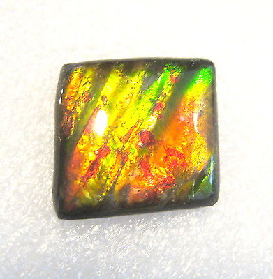 AMMOLITE GEMSTONE 16mm x 15mm
