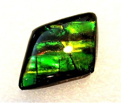 AMMOLITE GEMSTONE 21mm x 12mm
