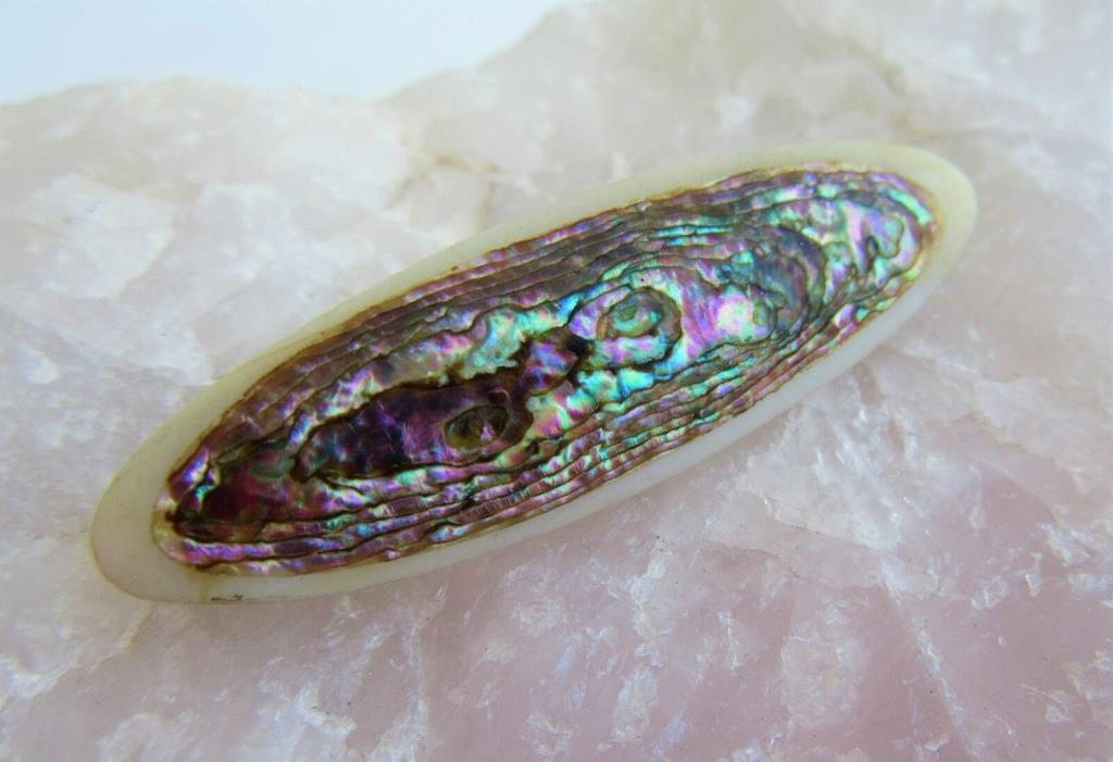 Antique Victorian Abalone Paua Shell Mother of Pearl MOP Oval Bar Pin C Clasp