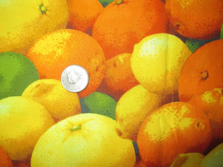 CITRUS FRUIT Vintage COLLAGE Of ORANGES LEMONS LIMES 2005 COTTON Fabric-shy 2 yd