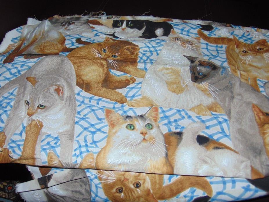 Kitty cat all over fabric 2 yards Daisy Kingdom