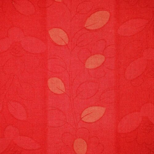 Timeless Treasures Jungle C7298 Red Cotton Fabric