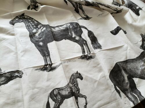 GASTON y DANIELA / BRUNSCHWIG Fabric Remnant - HORSES - 63