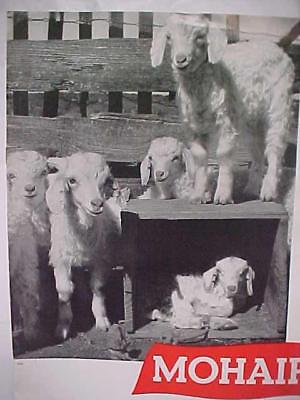 VINTAGE BOOKLET MOHAIR WOOL CUTE GOATS DISTINGUISHED FIBER UNLIMITED USES PHOTO