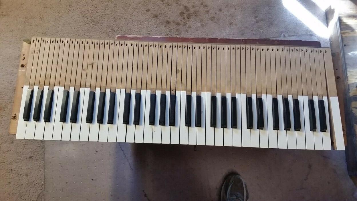 Estey Pump/Reed Organ. Keys and Guidance Pins--White Keys 11