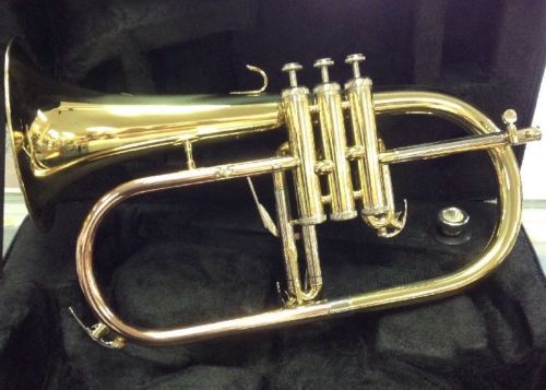 Hawk Flugel Horn *Great Condition*