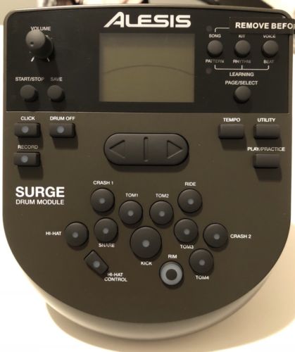 Alesis Surge DM7x Module