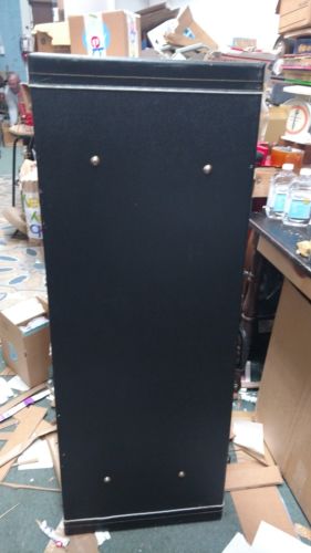 Vintage flat guitar case maybe l48 