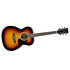 Ibanez  Acoustic Guitar