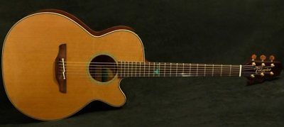 Takamine TSF40C Acoustic Guitar(TAKTSF40C) NEX Santa Fe series with cutaway, sol