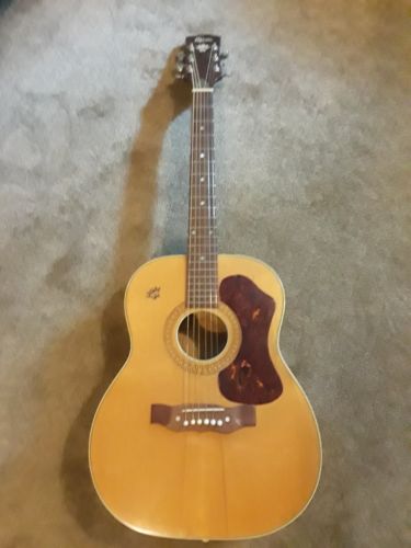 Espana fl-65 guitar