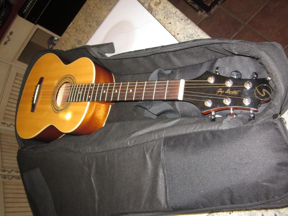 accustic Samick guitar Greg Bennett with soft case