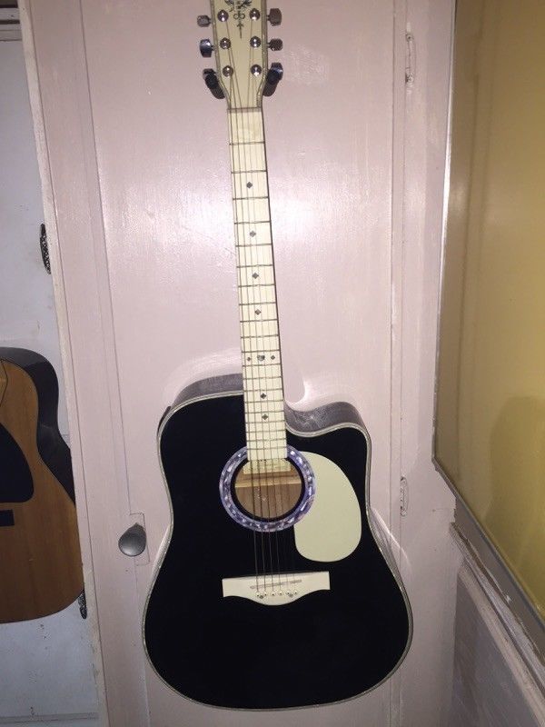 Rare Esteban Acoustic Electric Guitar