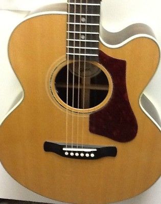 Gibson AG Parlor RW Cutaway Acoustic-Electric Guitar (with Case)