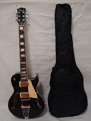 Professional 6 String Hollow Body Electric Guitar, Free Gig Bag, Black