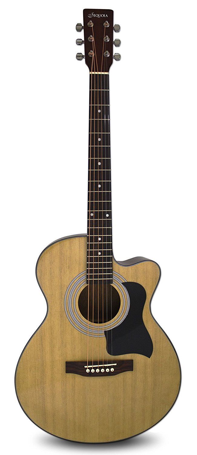 eMedia Teach Yourself Acoustic Guitar Pack Deluxe, 40