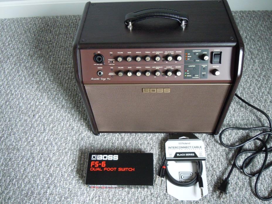 Boss Acoustic Singer Pro 120-watt Amp with Extras