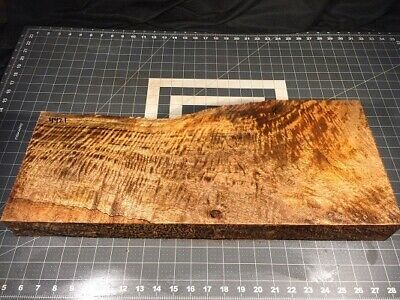 Hawaiian Curly Mango Luthier Blank! Extreme Curl And Beautiful Color