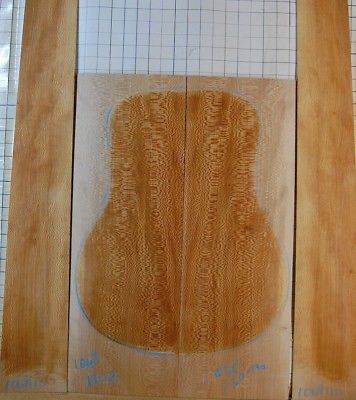 Quartersawn sycamore  tonewood guitar luthier set back and sides snakeskin