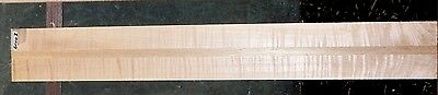 Figured Maple Mahogany Wood #6100I Luthier Electric Guitar Neck Blank 29x3.75x1