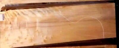 Tiger Curly Poplar Burl #4634 Luthier Electric Guitar Wood  23 x 7 x 3