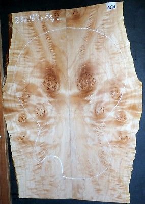 Birdseye Maple Burl Wood 8586 Luthier Solid Body Guitar Lumber 23 x 16.5 x .750