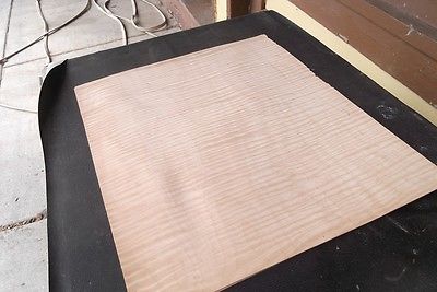 High Grade Curly Maple Veneer 1/16 thickness instrument grade