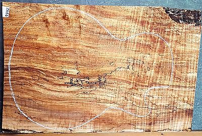 TIGER SPALTED Curly Maple 7443 Luthier 1 pc. Guitar Top  AGED 17 YEARS