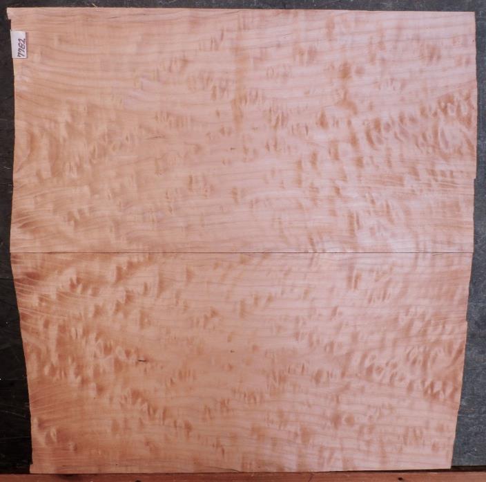 QUILTED TIGER MAPLE WOOD 7782 LUTHIER ELECTRIC GUITAR TOP SET 22 x 23 x 1/2-