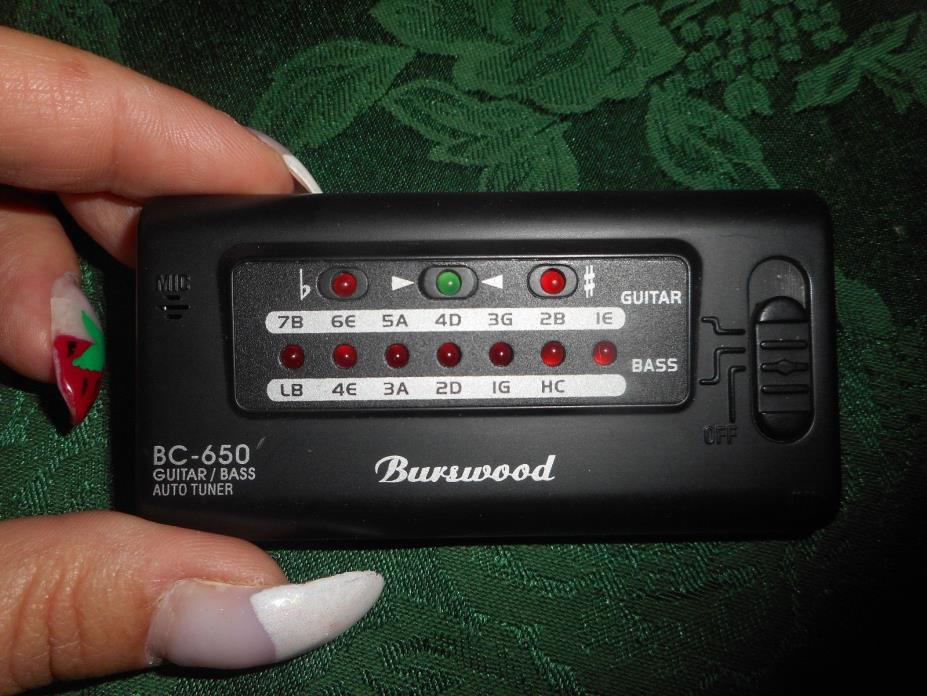 Burswood Guitar Bass Autotuner