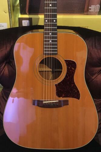 Taylor 510 1979 Lemon Grove Factory w/ Case (Pre-Owned)