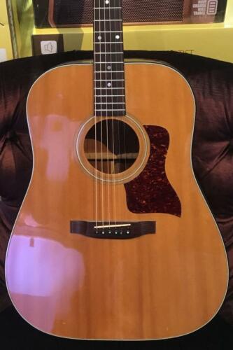 Taylor 510 1982 Lemon Grove w/ Case (Pre-Owned)
