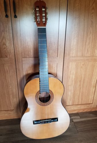 Prelude Classical Acoustic Guitar CC 24 C