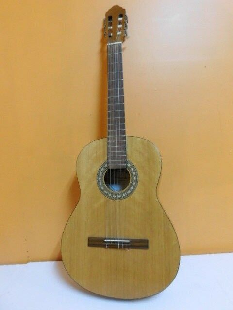 Samick LG-015G Guitar