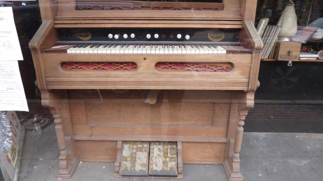 Rare Lyon and Healy Pump organ Musical instrument Victorian