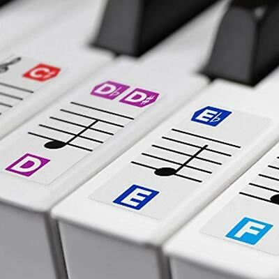 Color Piano Stickers For Keys Removable W/ Double Layer Coating 49 61 76 88