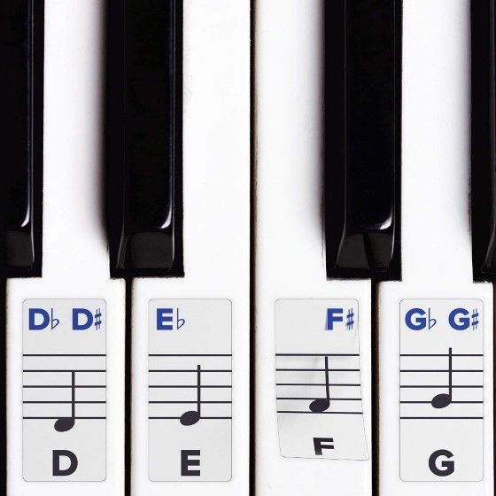 Piano Stickers for Keys, Removable Double Layer Coating 49/61/76/or 88 Keyboards