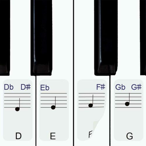 Stickers for Piano/Keyboards, 49,61,76,88 Key Full Set of Piano & Keyboard...