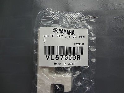 Yamaha C or F keyANIX1 CS6x EL25 EL50 MO6 PSR4000 PSR9000 QS300 Sy35 W7 VL57000R