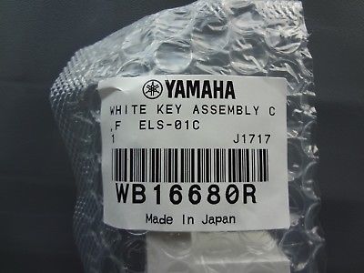 NEW Replacement Piano C or F Key For Yamaha Motif XF6 XF7 and others WB16680R