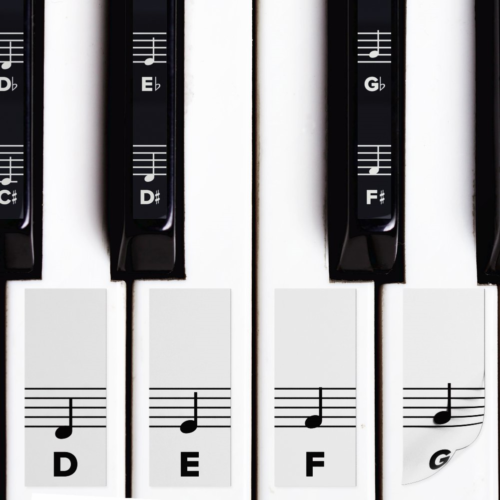 Piano Stickers for White & Black Keys w/Complete Notes on Grand Staff for 49/61
