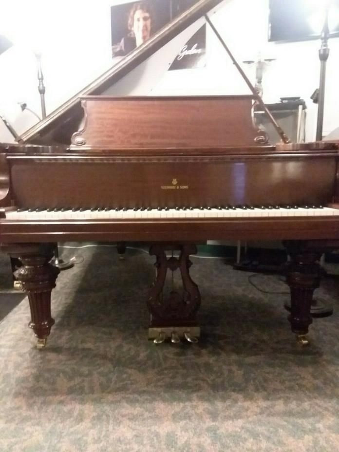 Magnificent 1904 Art Case  Steinway Model B Grand Piano